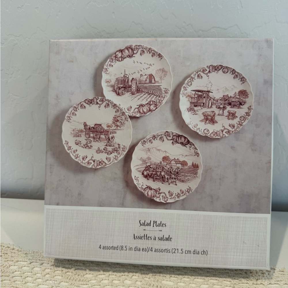 Pier 1 Harvest Village 9” Salad Plates – Set of 4, NIB